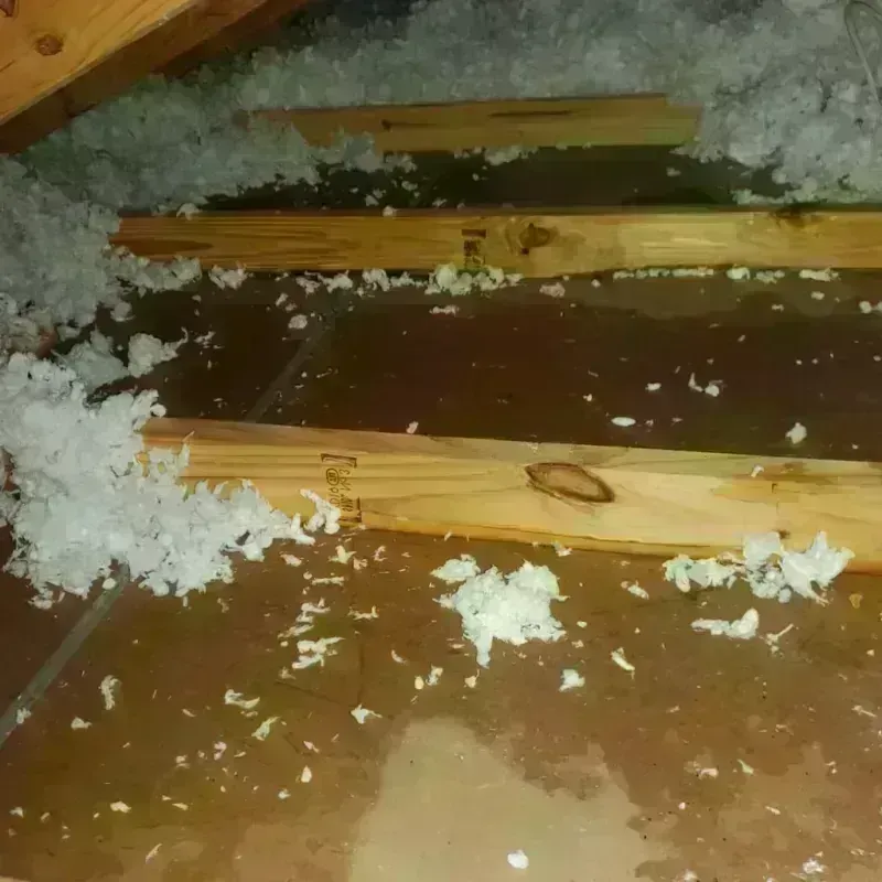 Attic Water Damage in Floydada, TX