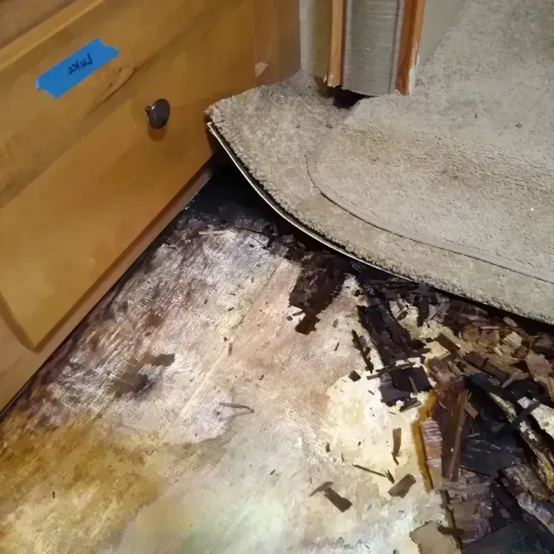 Wood Floor Water Damage in Floydada, TX